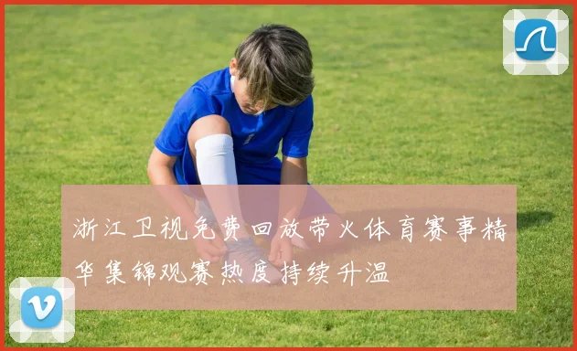 浙江卫视免费回放带火体育赛事精华集锦观赛热度持续升温