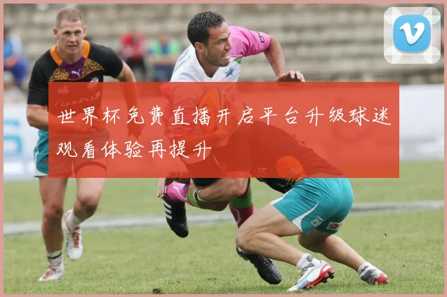 世界杯免费直播开启平台升级球迷观看体验再提升