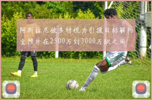 阿斯拉尼被多特视为引援目标解约金预计在2500万到3000万欧之间