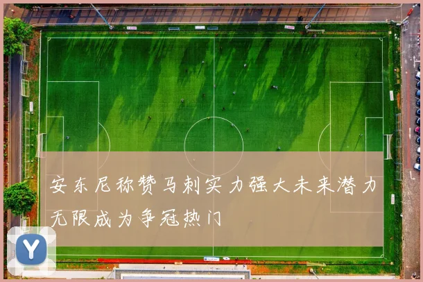 安东尼称赞马刺实力强大未来潜力无限成为争冠热门